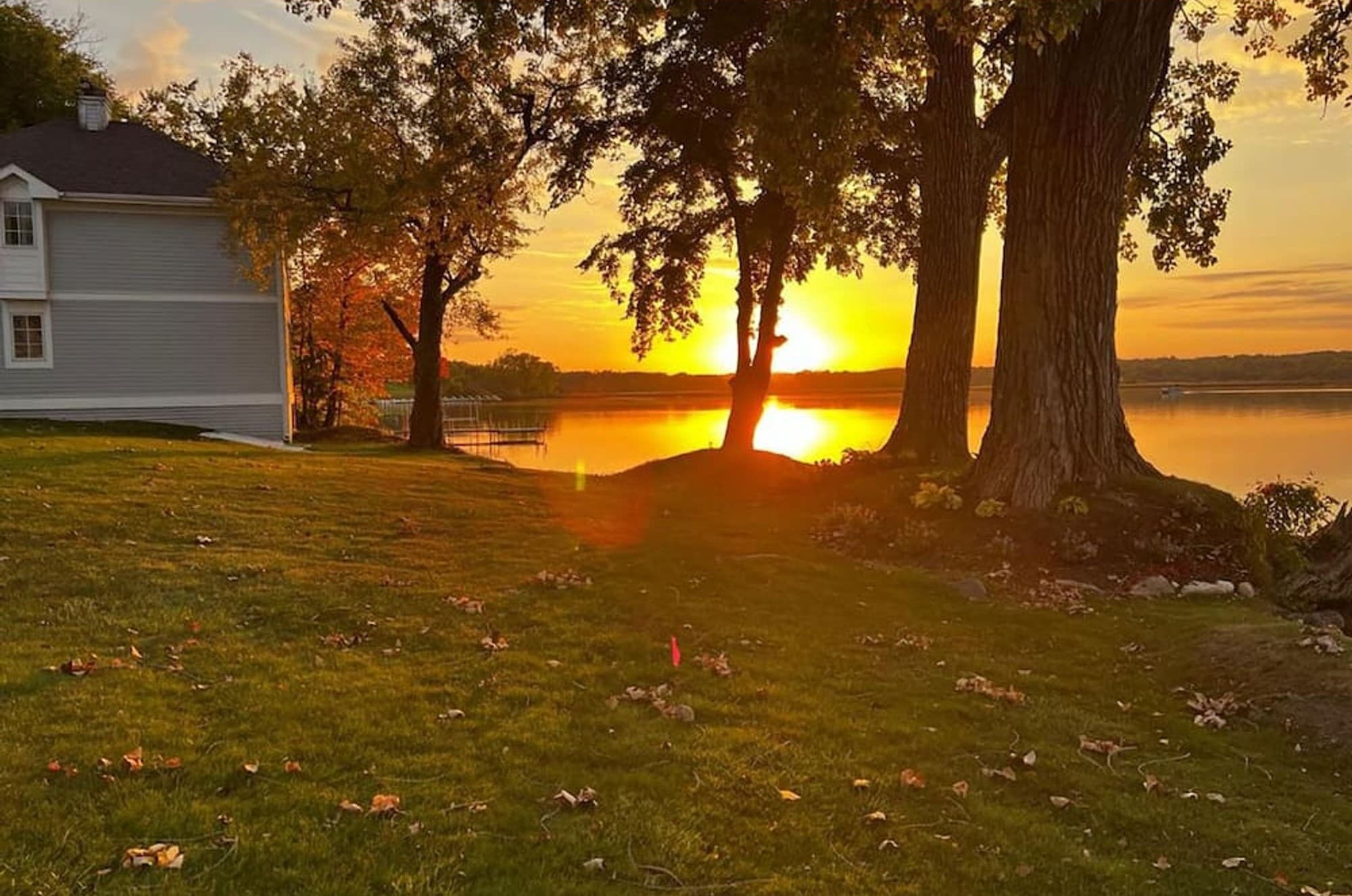 Sunset through the trees on the lawn, with the Cottage at left
